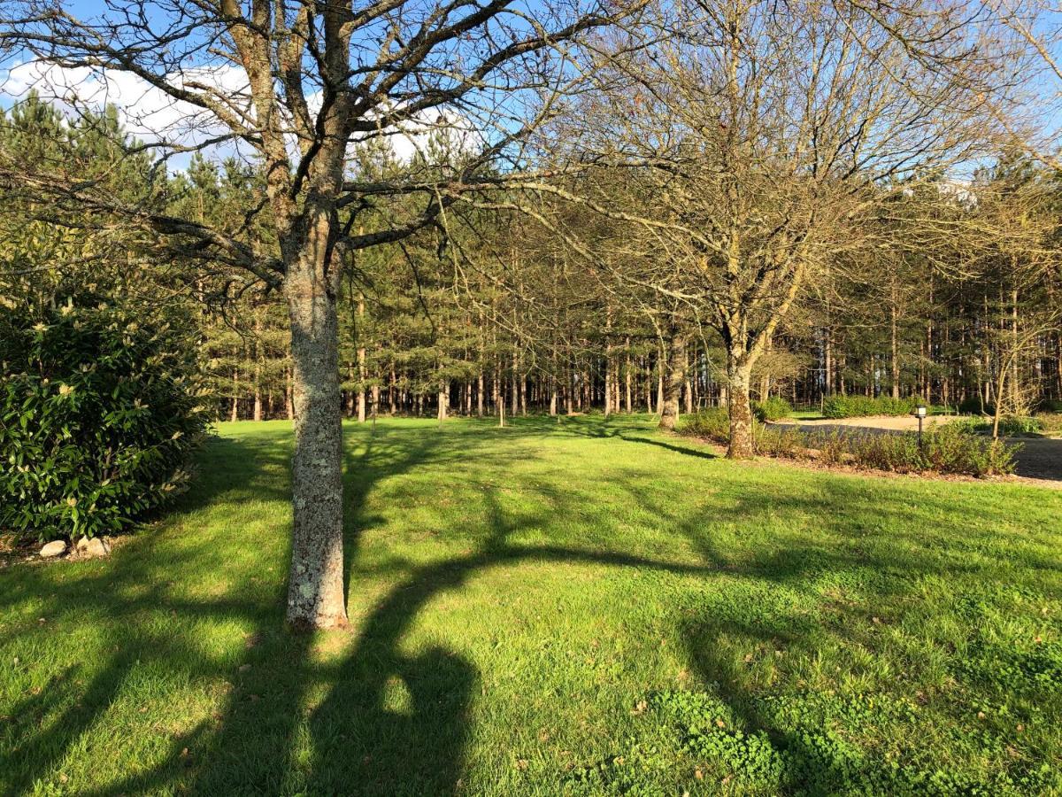 Les Gites Du Cormier Sambin Buitenkant foto